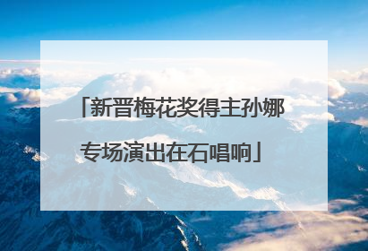 新晋梅花奖得主孙娜专场演出在石唱响